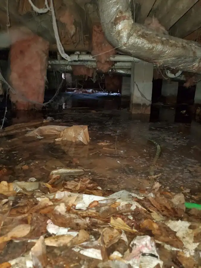 Crawl space flood assessment for Leak Detection & Repair in Summerville